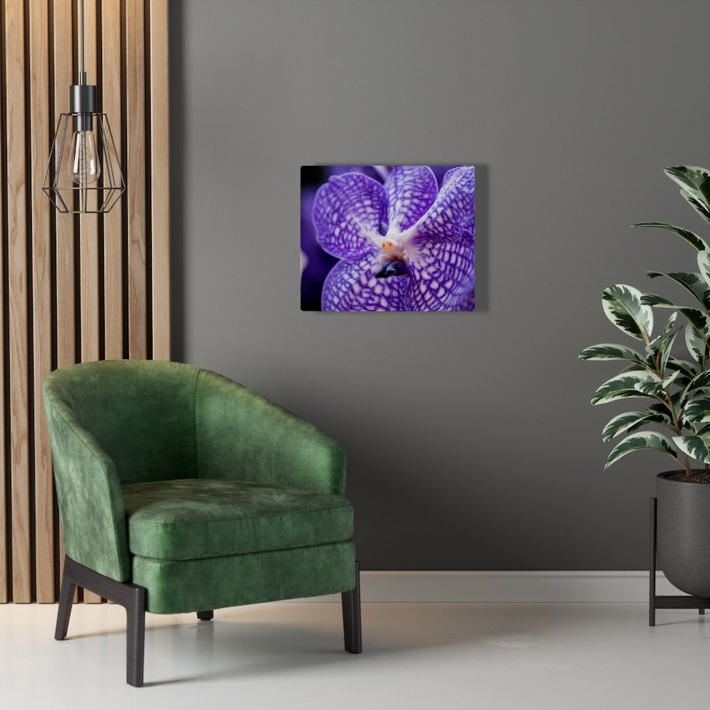 Orchid Detail - Canvas