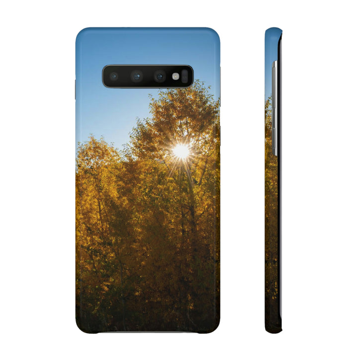 Sun Through the Aspens - Phone Case