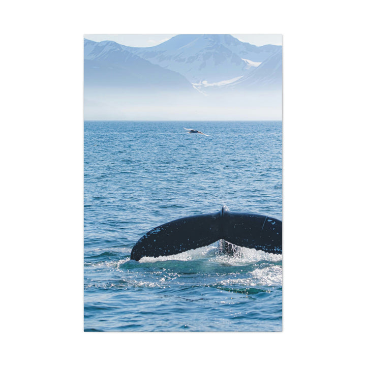 A Whale and A Mountain - Canvas