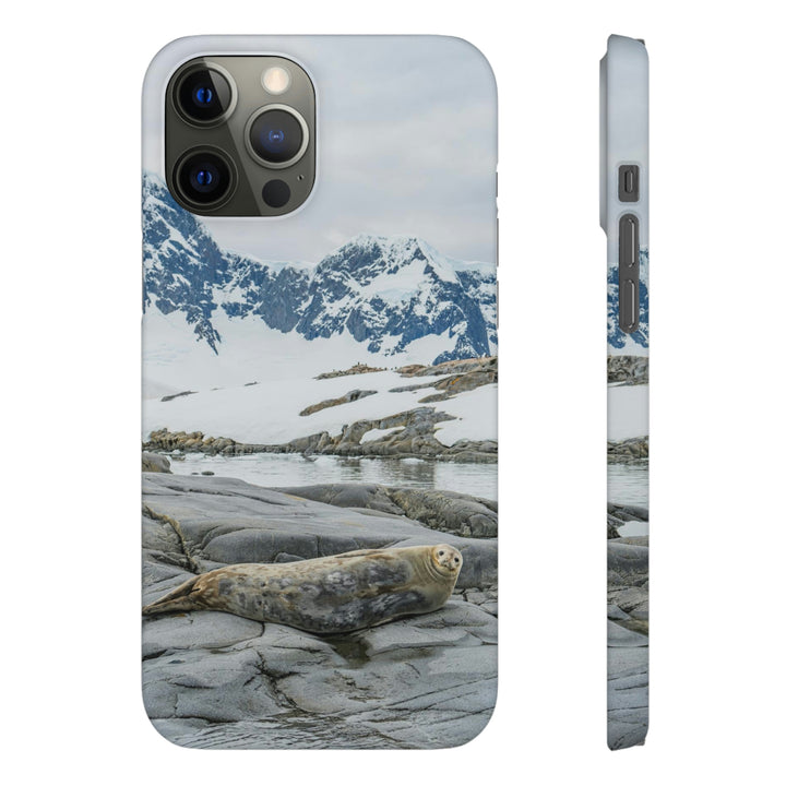 Weddell Relaxing - Phone Case