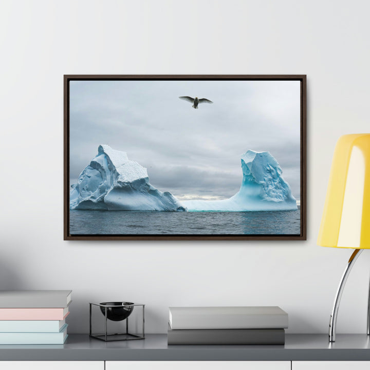 Antarctic Flight - Canvas with Frame