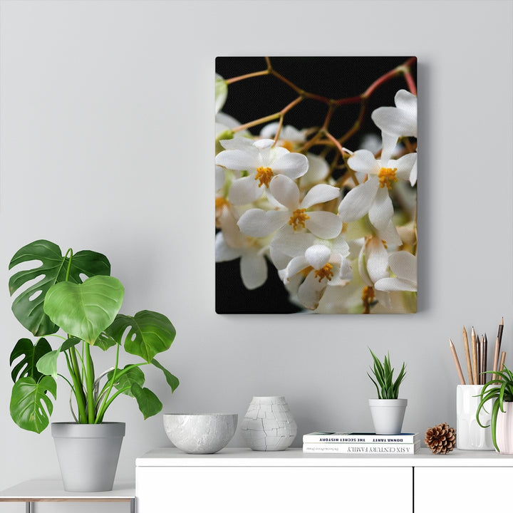 Floral Network - Canvas