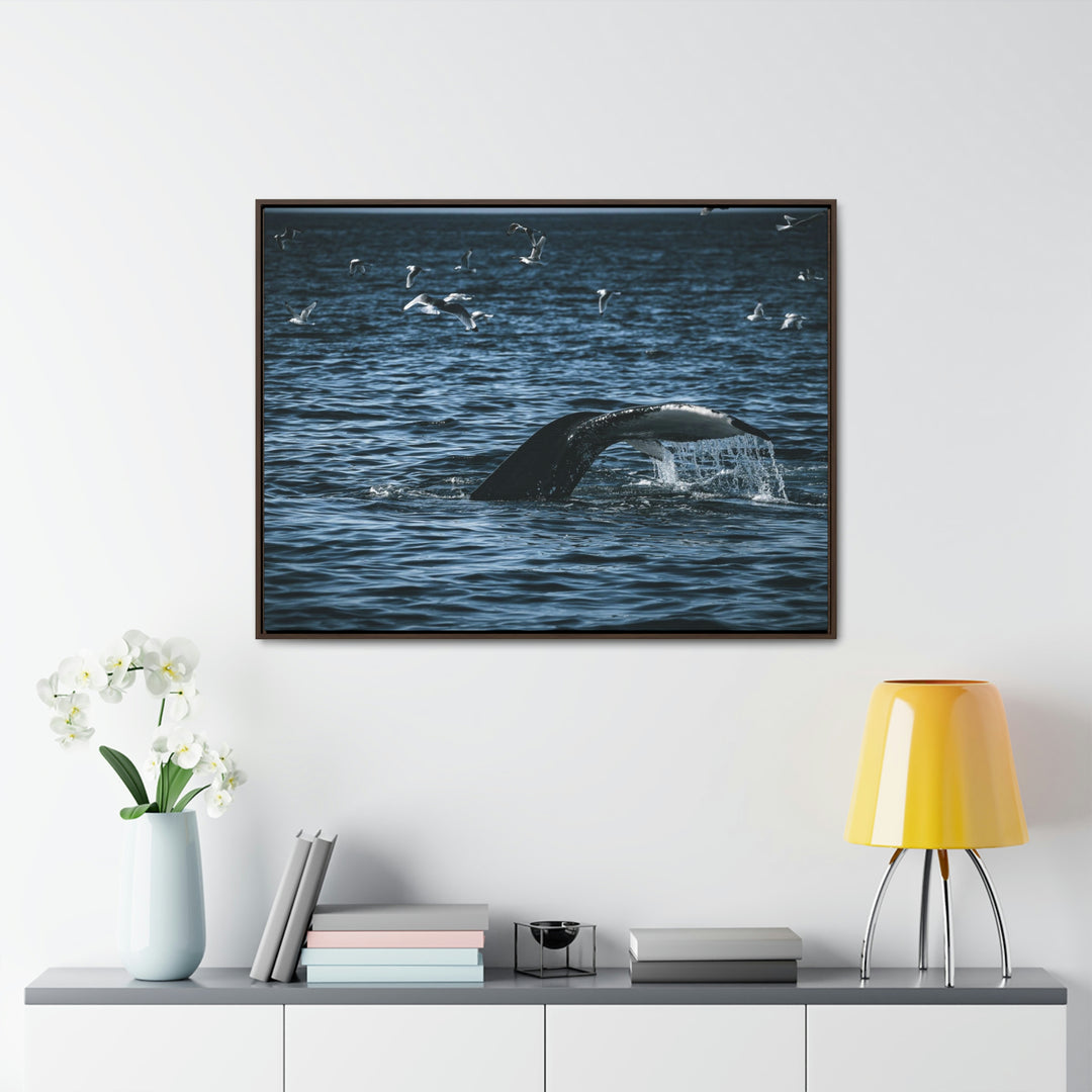 Feeding Tail - Canvas with Frame