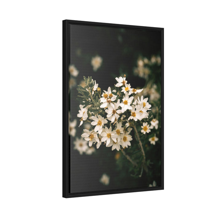 A Touch of White - Canvas with Frame