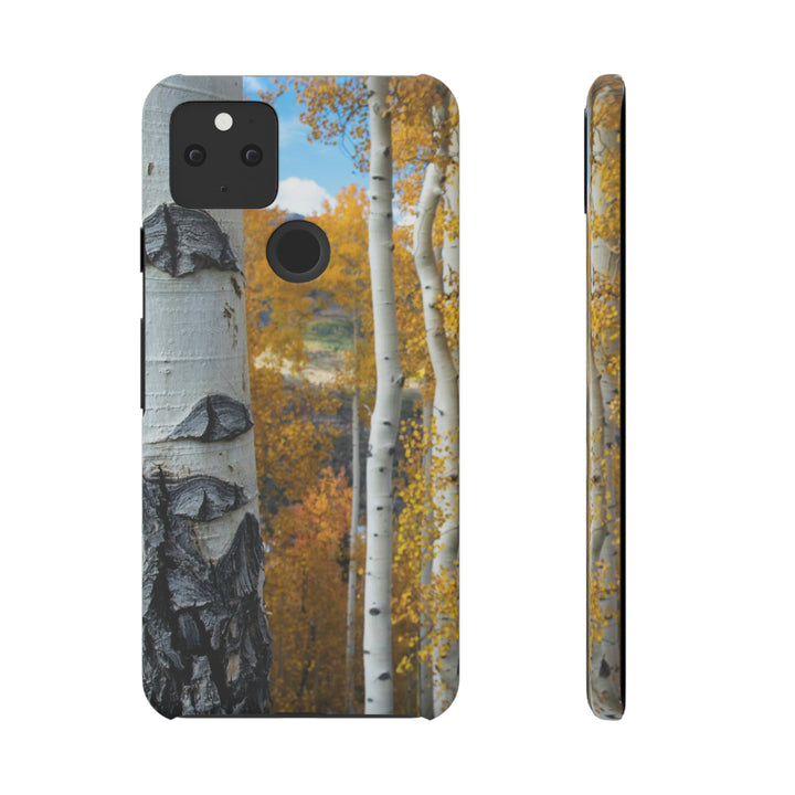 Aspens Changing - Phone Case