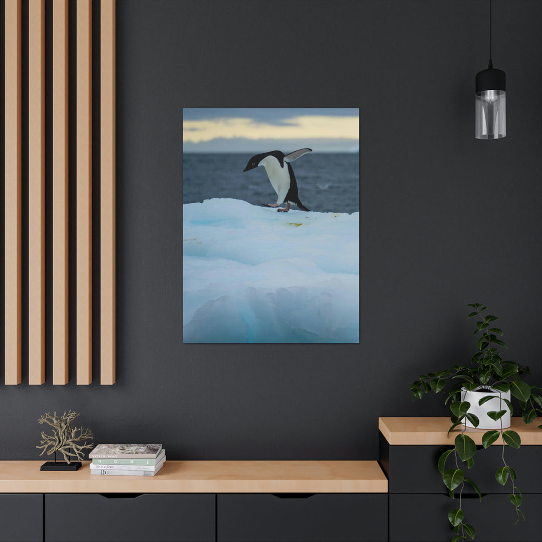 Penguin Dance - Canvas