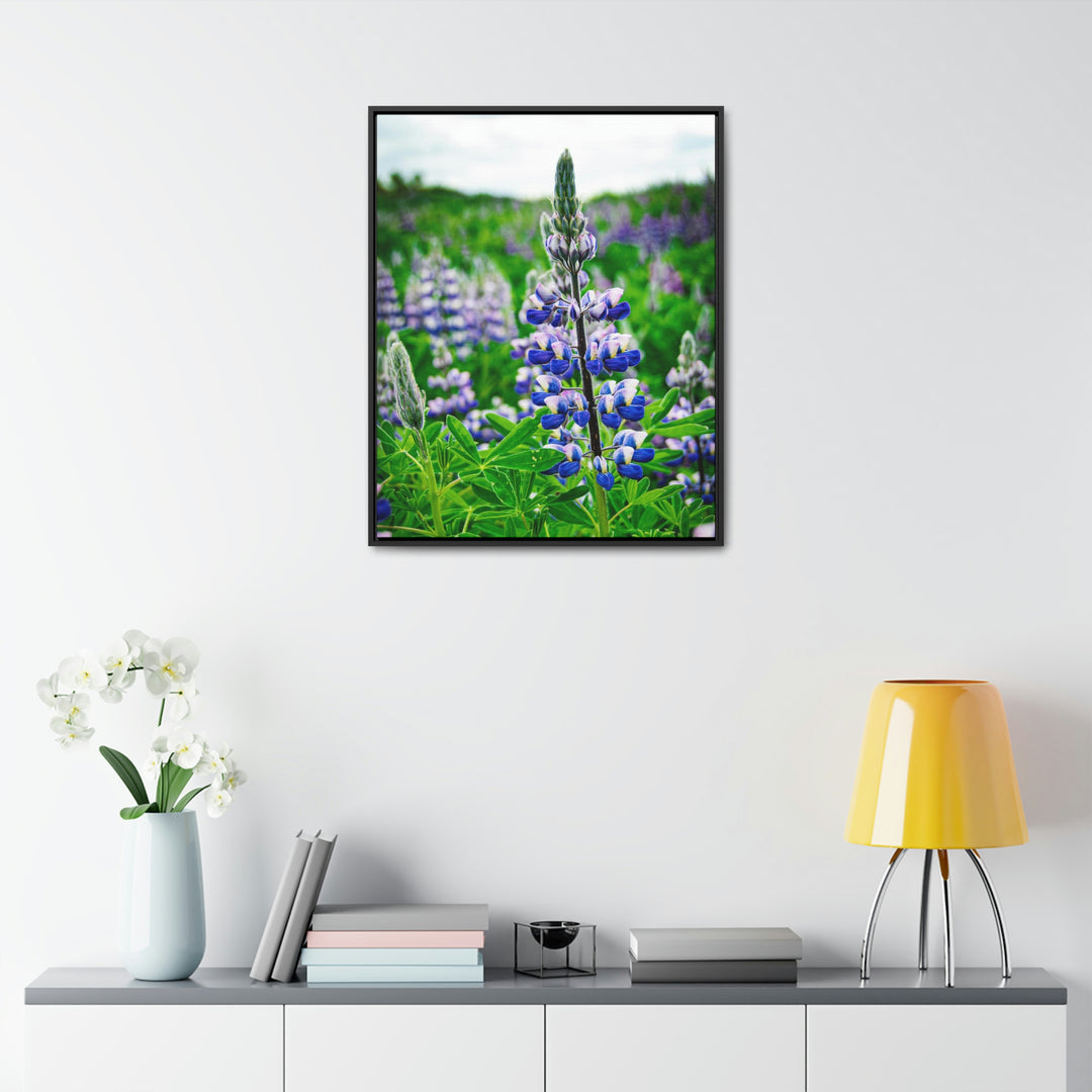 Glowing Lupin - Canvas with Frame