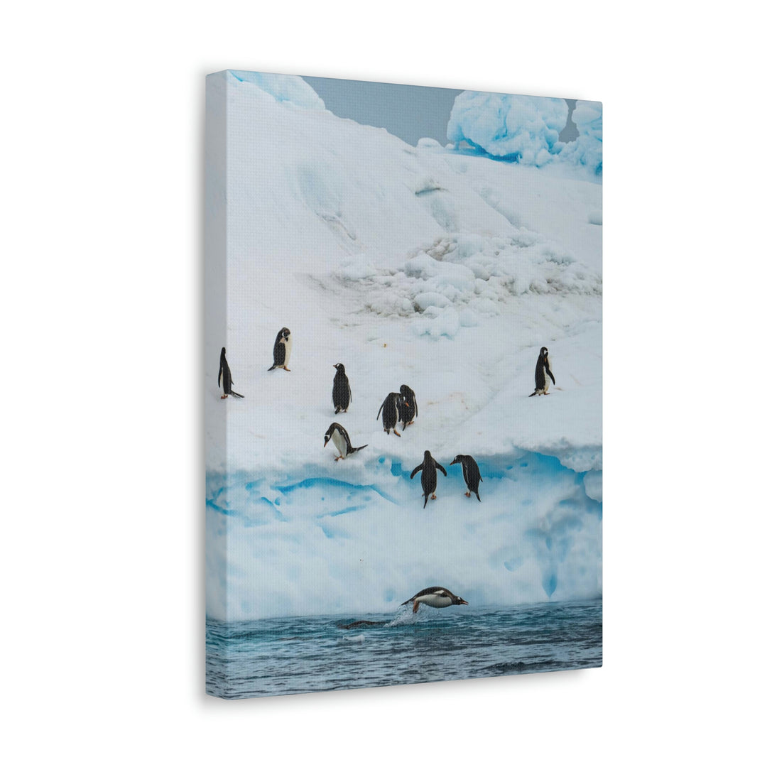 Porpoising Penguin - Canvas