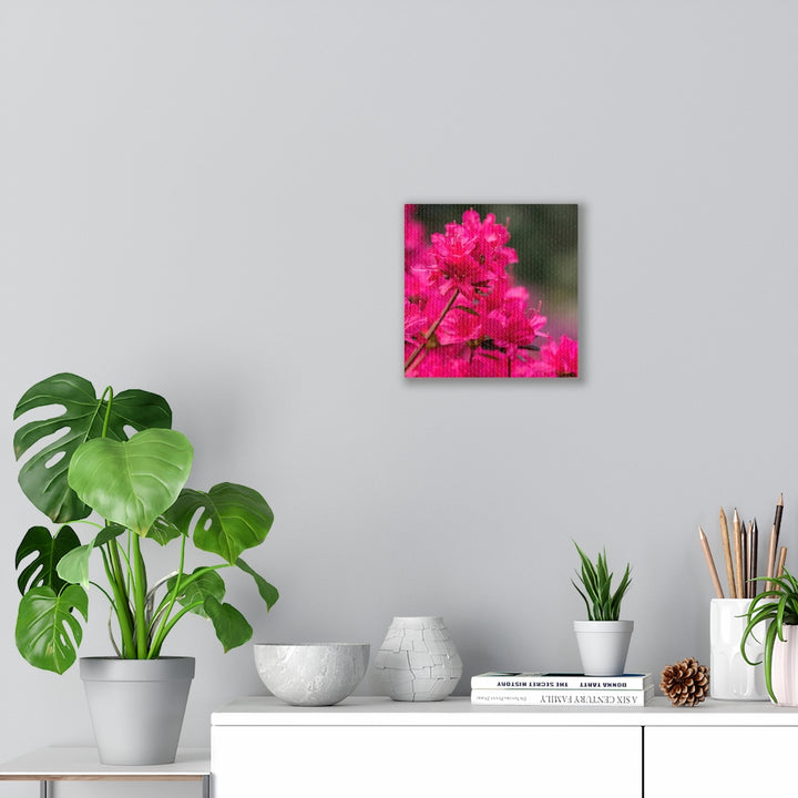 Full Bloom - Canvas