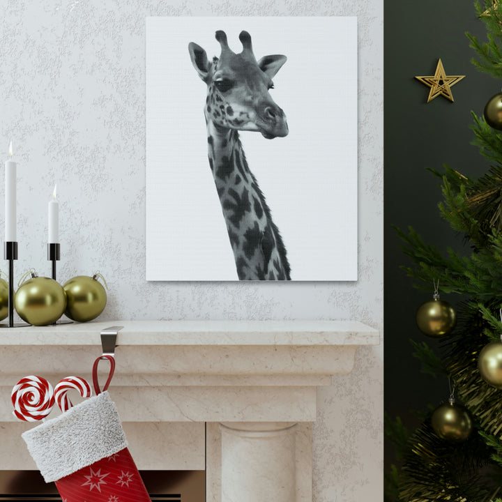 Giraffe Portrait in Black and White  - Canvas