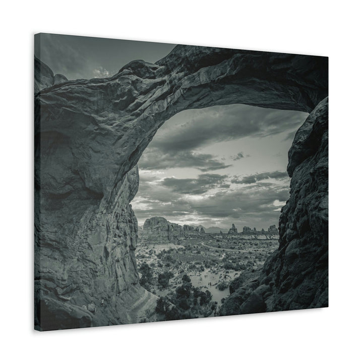 Natural Frames Part 2 in Black and White - Canvas