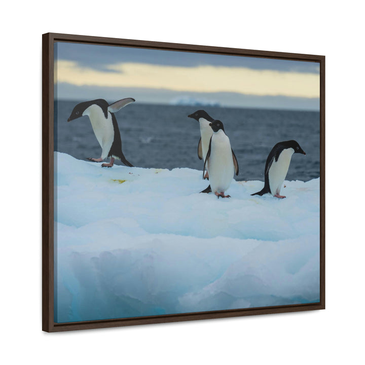 Penguin Dance - Canvas with Frame