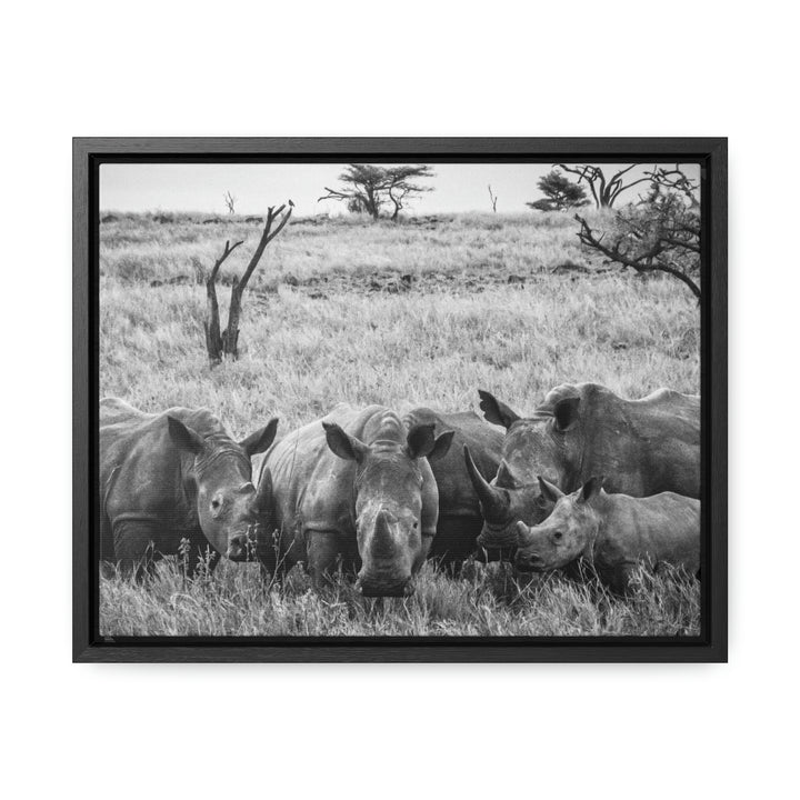 Rhino Family in Black and White - Canvas with Frame