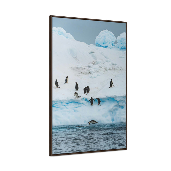 Porpoising Penguin - Canvas with Frame