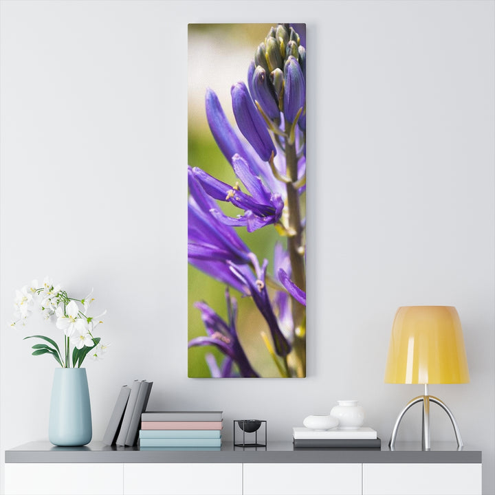 Camas in Bloom - Canvas