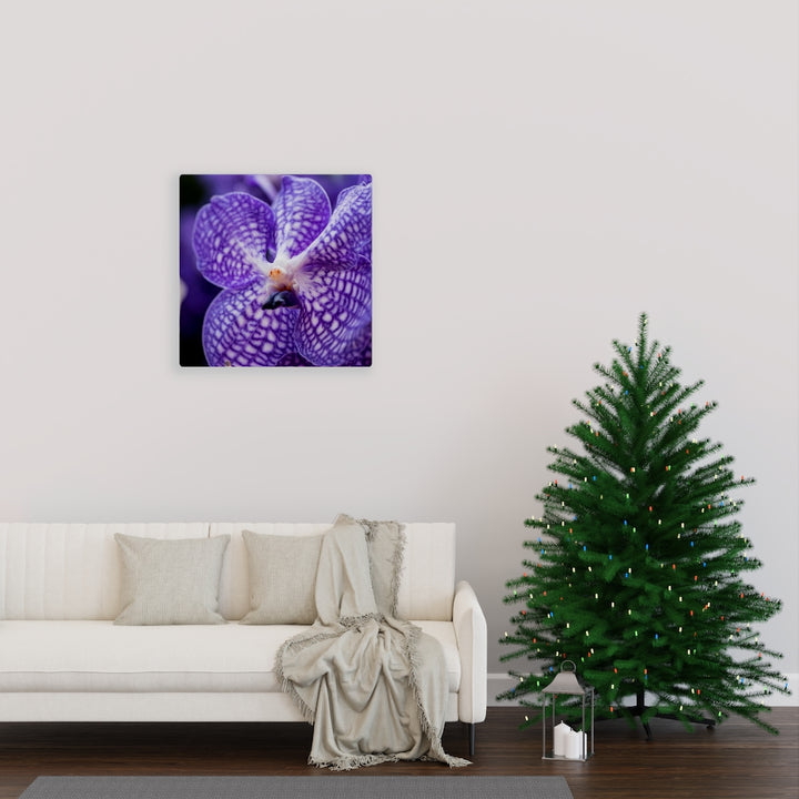 Orchid Detail - Canvas