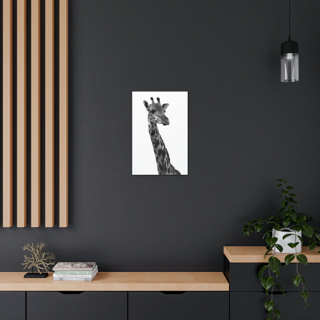 Giraffe Portrait in Black and White  - Canvas