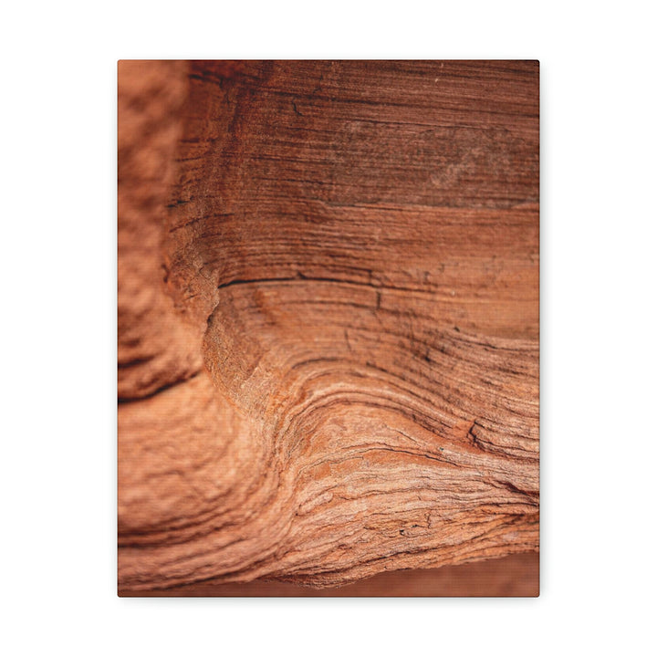 Sedimentary Rock Curves - Canvas