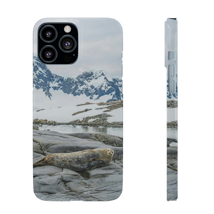 Weddell Relaxing - Phone Case