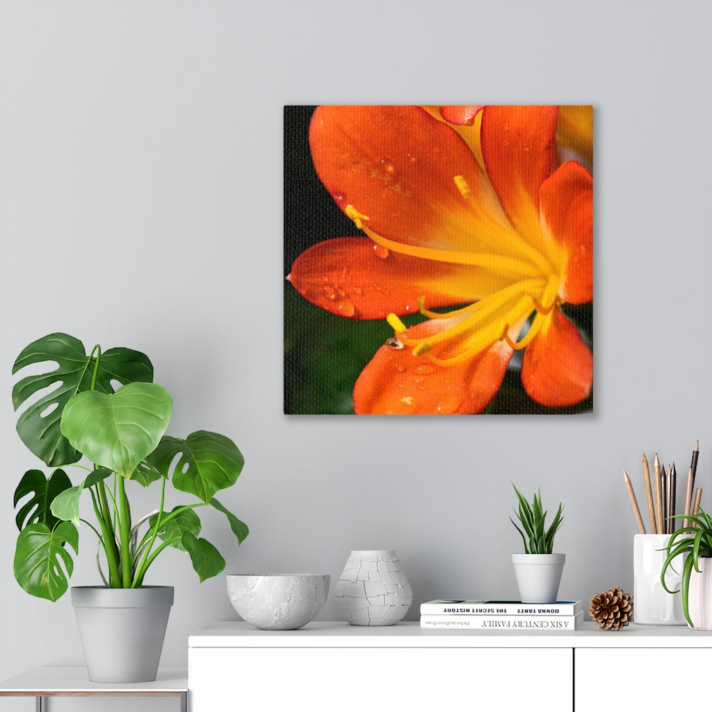 Bright Bush Lily - Canvas