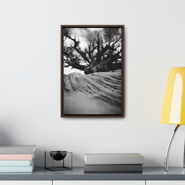 Desert Reach in Black and White - Canvas with Frame