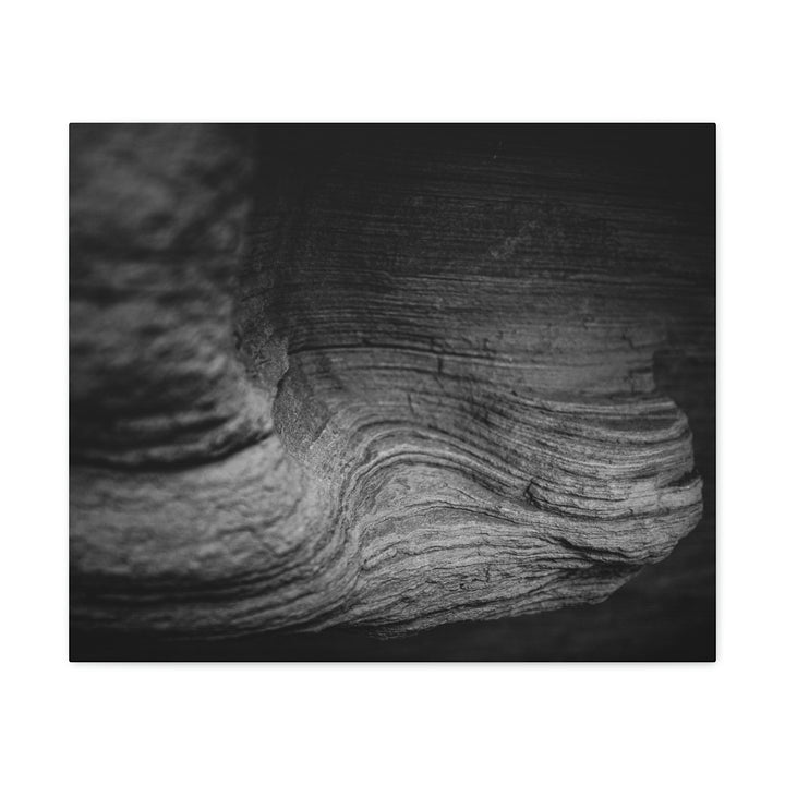 Sedimentary Rock Curves in Black and White - Canvas