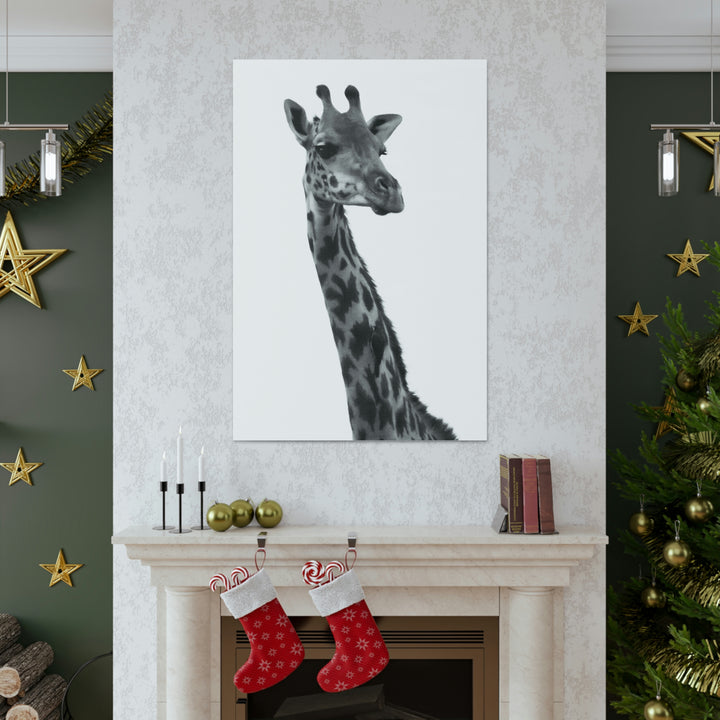 Giraffe Portrait in Black and White  - Canvas