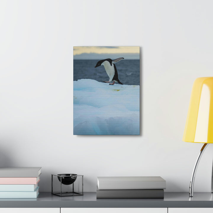 Penguin Dance - Canvas