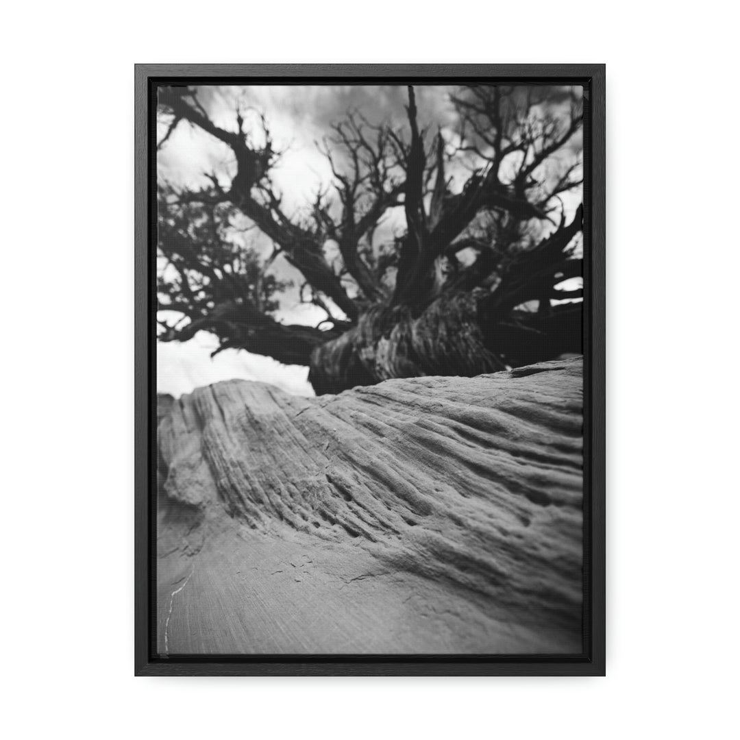 Desert Reach in Black and White - Canvas with Frame