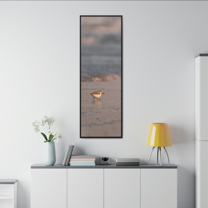 Sanderling in Soft Dusk Light - Canvas with Frame