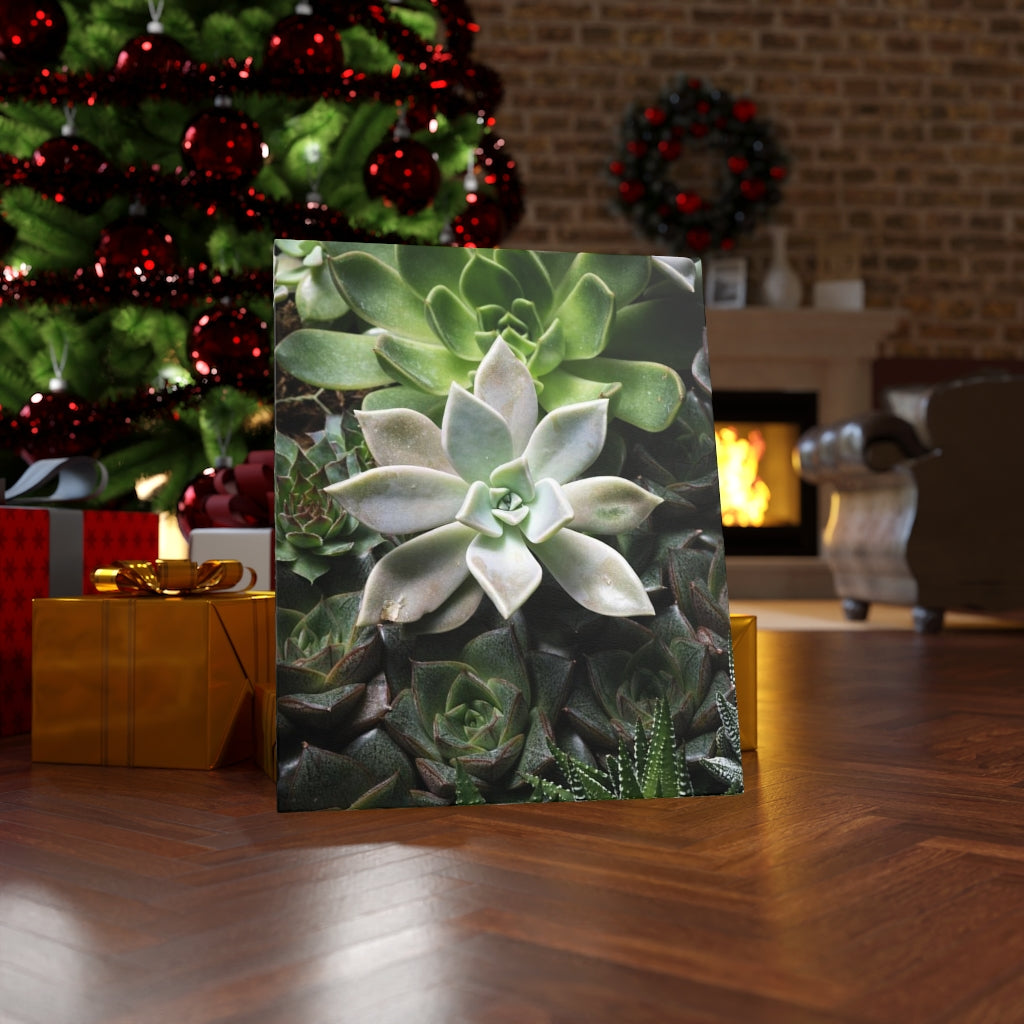 Succulent - Array - Canvas