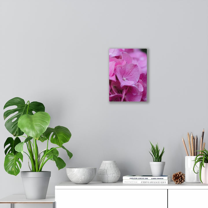 Pink Hydrangea Detail - Canvas