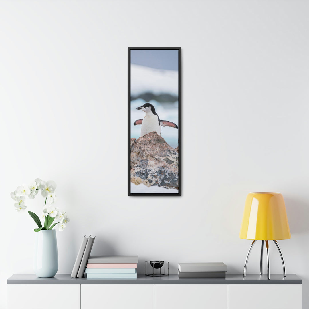 Stretched Penguin - Canvas with Frame