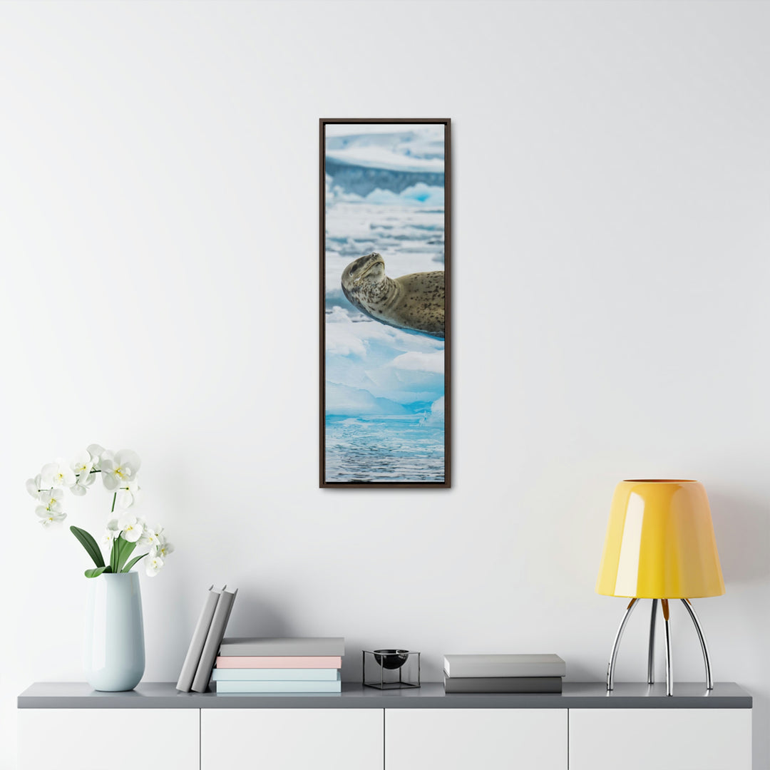 Leopard Seal Relaxing - Canvas with Frame