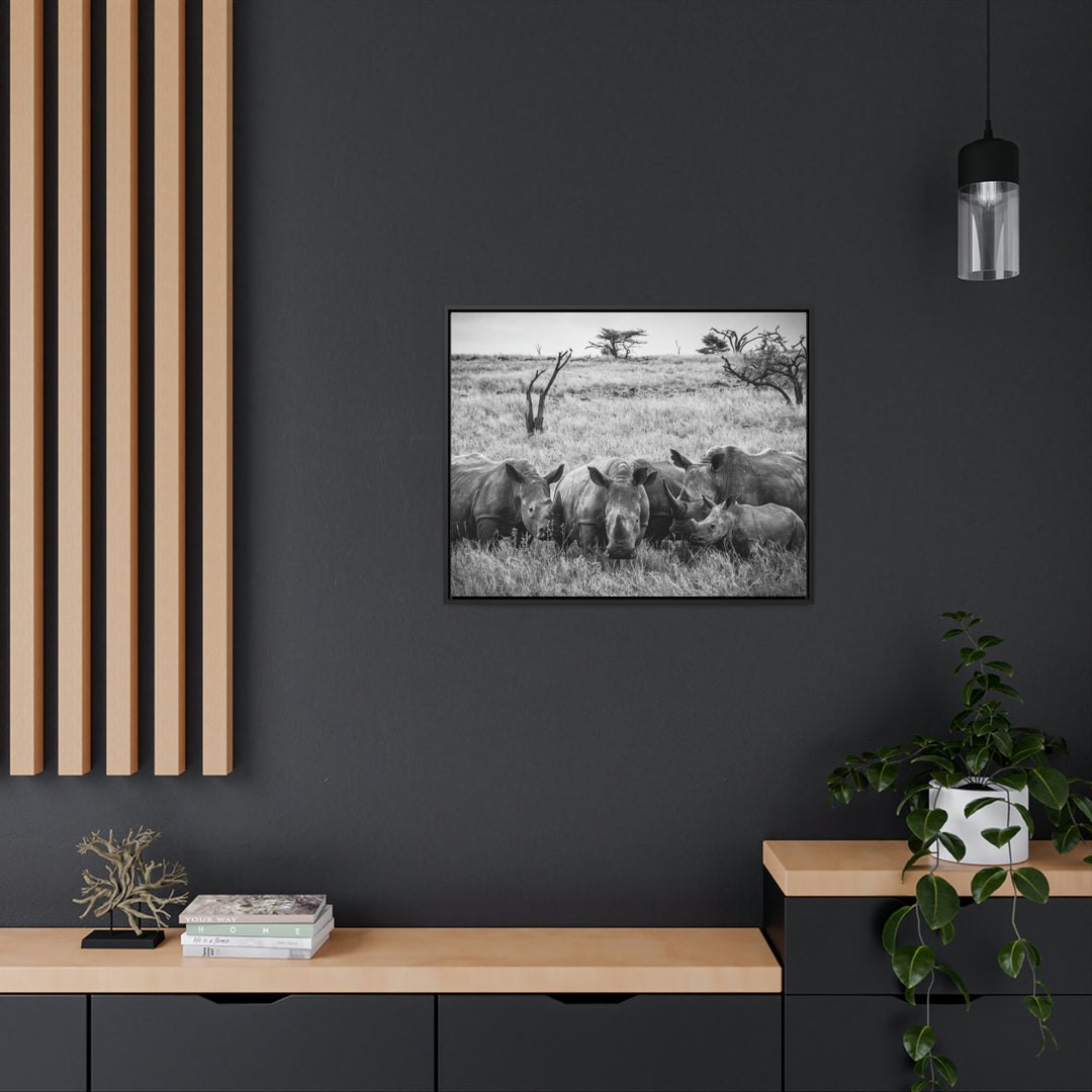 Rhino Family in Black and White - Canvas with Frame