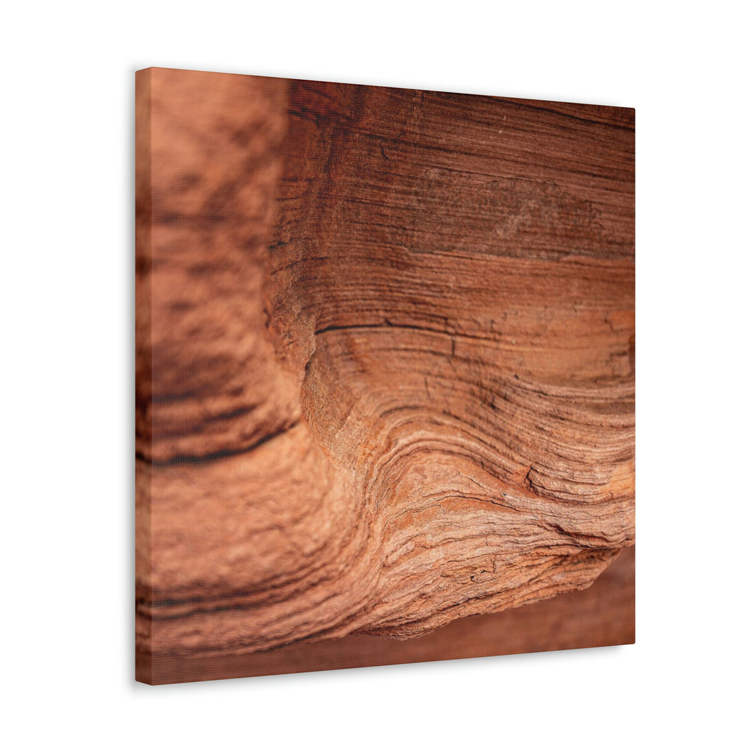 Sedimentary Rock Curves - Canvas