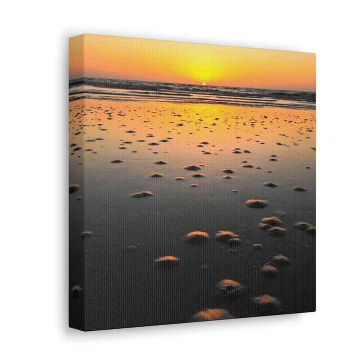 Burrows at Sunrise - Canvas