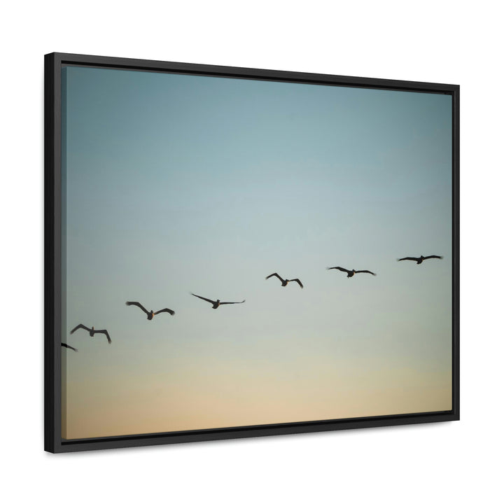 Brown Pelicans in Flight - Canvas with Frame