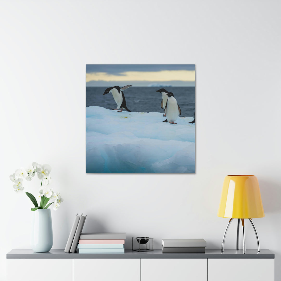 Penguin Dance - Canvas