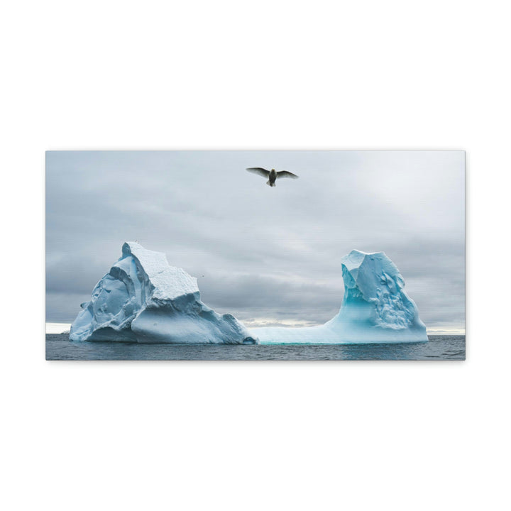 Antarctic Flight - Canvas