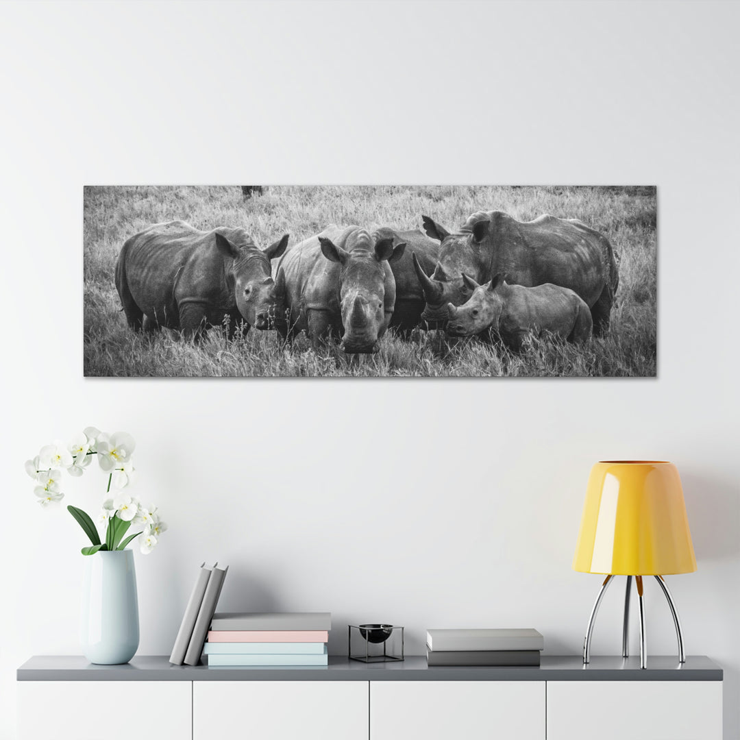 Rhino Family in Black and White - Canvas