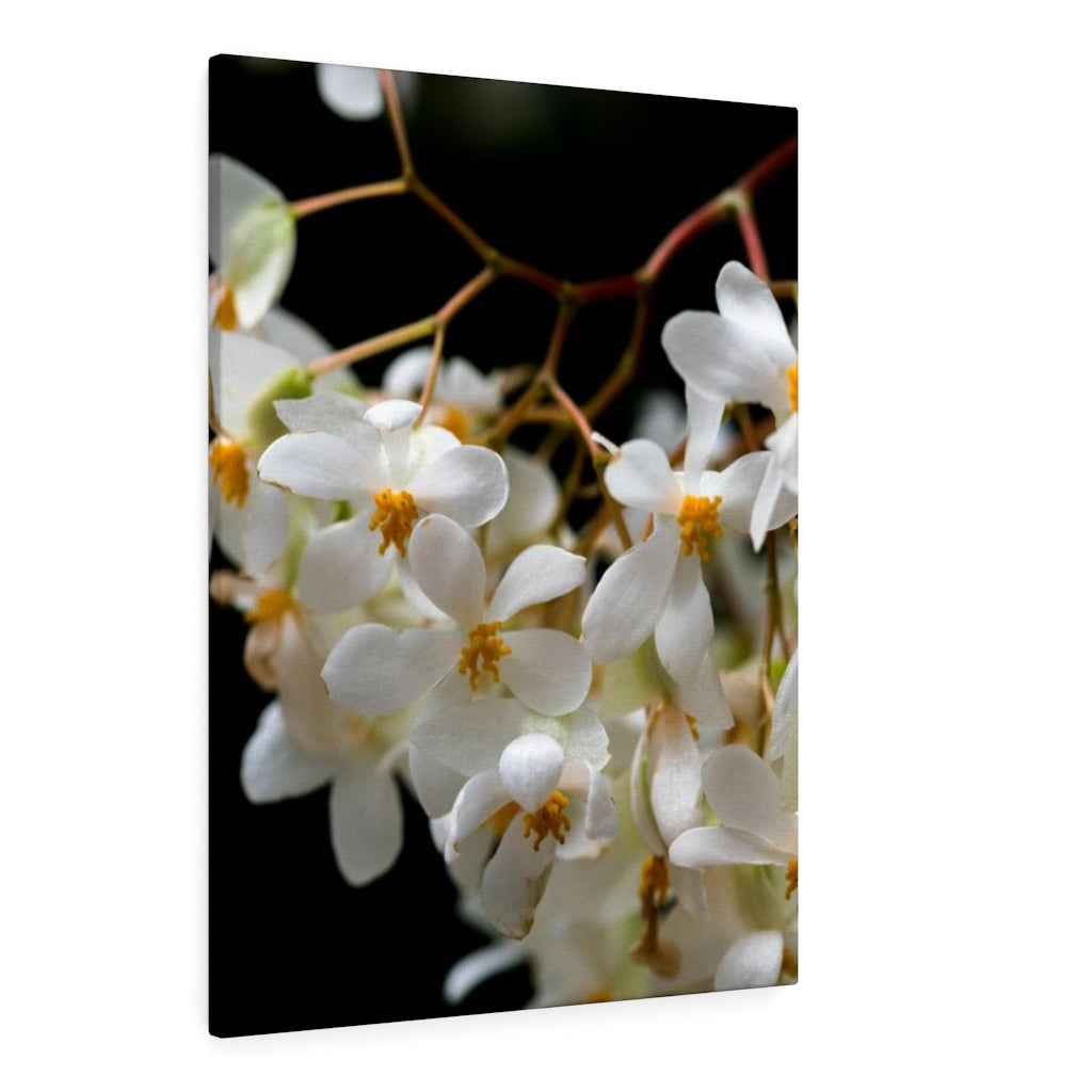 Floral Network - Canvas