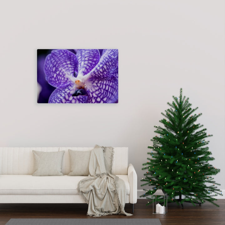 Orchid Detail - Canvas