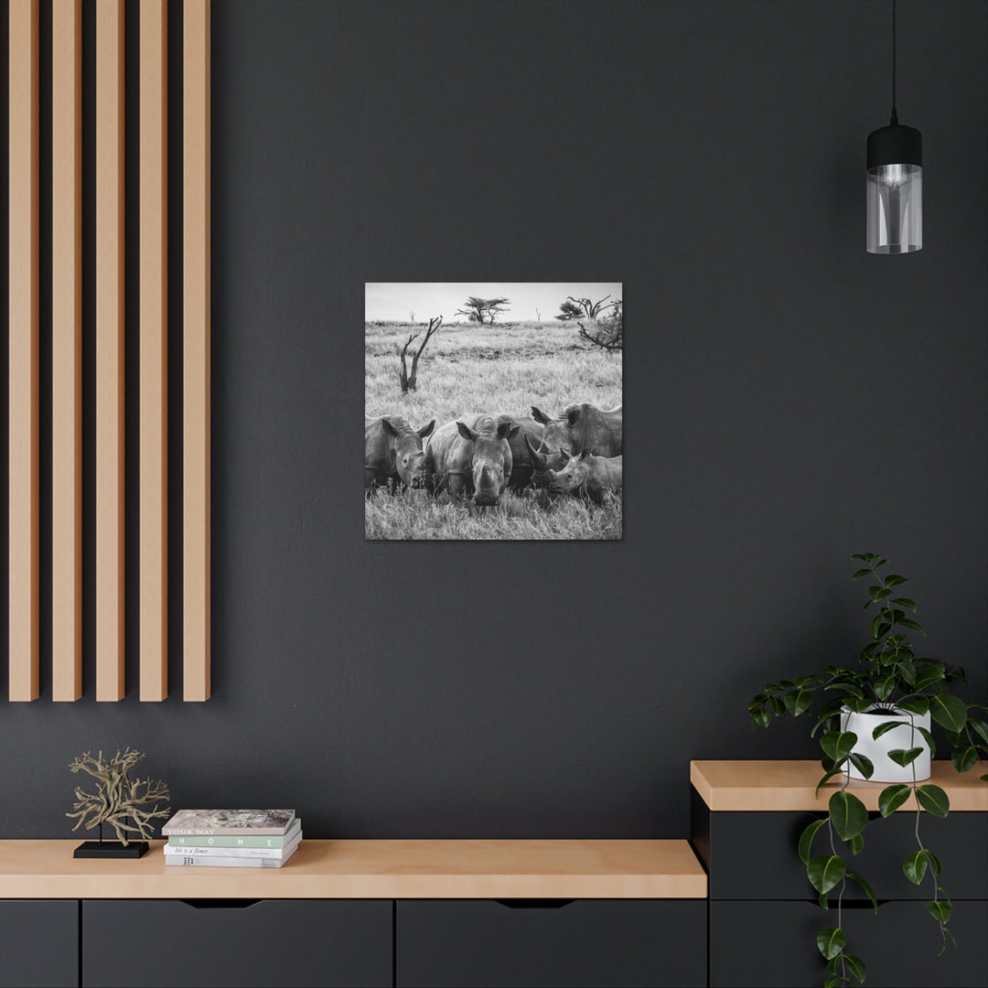 Rhino Family in Black and White - Canvas