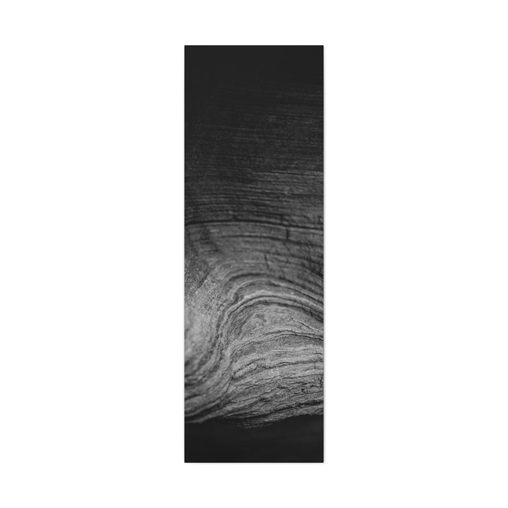 Sedimentary Rock Curves in Black and White - Canvas