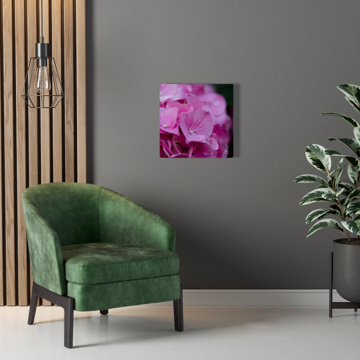 Pink Hydrangea Detail - Canvas