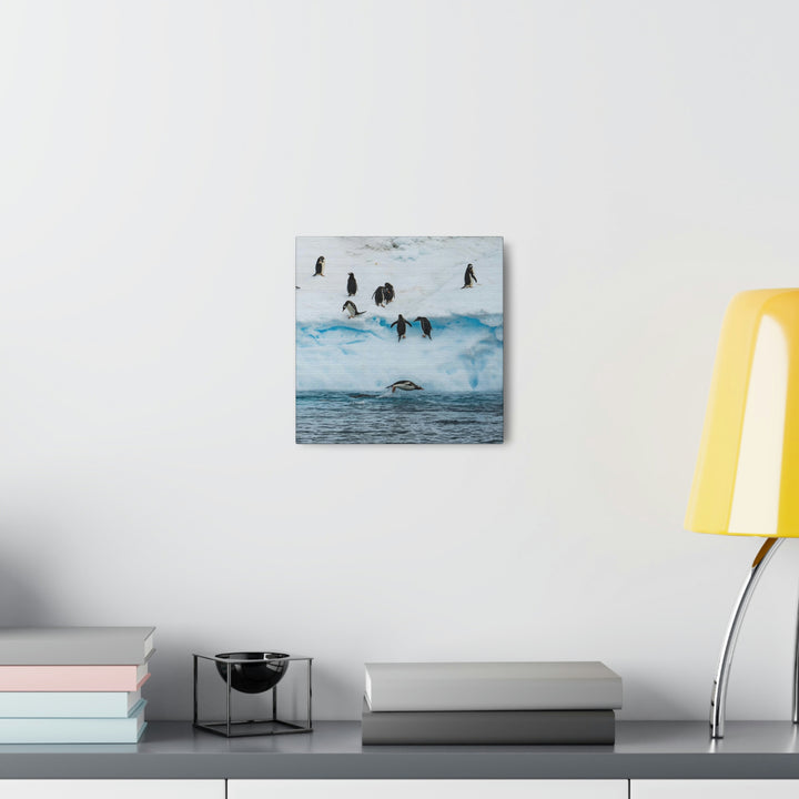 Porpoising Penguin - Canvas