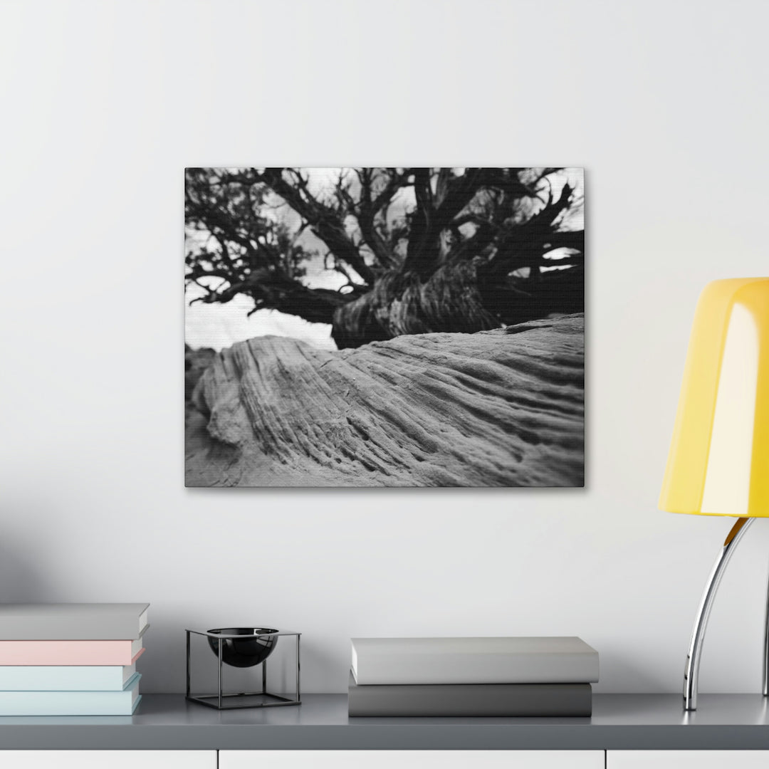 Desert Reach in Black and White - Canvas