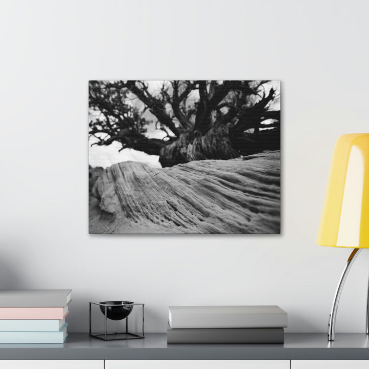 Desert Reach in Black and White - Canvas