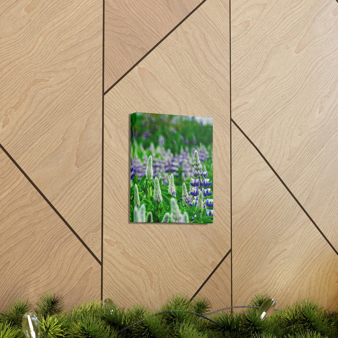 Glowing Lupin with Mountains - Canvas